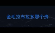 金毛拉布拉多那个贵