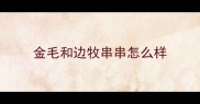 金毛和边牧串串怎么样