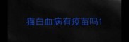 猫白血病有疫苗吗