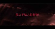 能上手粘人的宠物