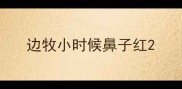 边牧小时候鼻子红
