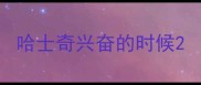 哈士奇兴奋的时候