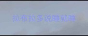 拉布拉多说睡就睡