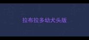 拉布拉多幼犬头版