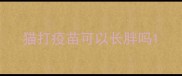 猫打疫苗可以长胖吗
