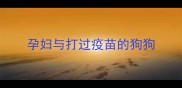 孕妇与打过疫苗的狗狗