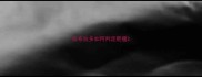 拉布拉多如何判定肥瘦