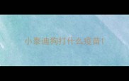 小泰迪狗打什么疫苗