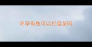 怀孕母兔可以打疫苗吗