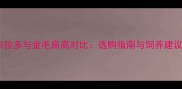 拉布拉多与金毛肩高对比选购指南与饲养建议全