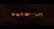 泰迪狗狗吃了蛋糕