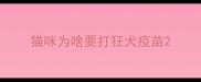 猫咪为啥要打狂犬疫苗