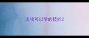 边牧可以学的技能