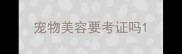 宠物美容要考证吗