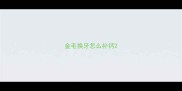 金毛换牙怎么补钙