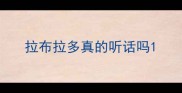 拉布拉多真的听话吗