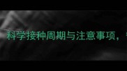 宠物猫疫苗全攻略科学接种周期与注意事项守护爱猫健康必备