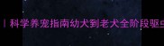 拉布拉多驱虫时间表科学养宠指南幼犬到老犬全阶段驱虫攻略附用药禁忌表