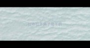 拉布拉多鼻子是干的