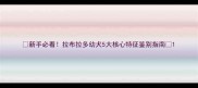 新手必看拉布拉多幼犬5大核心特征鉴别指南