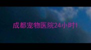 成都宠物医院24小时