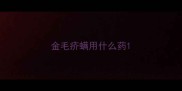 金毛疥螨用什么药