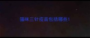 猫咪三针疫苗包括哪些