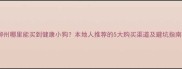 柳州哪里能买到健康小狗本地人推荐的5大购买渠道及避坑指南