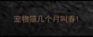 宠物猫几个月叫春