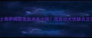 北京上海哈士奇萨姆耶混血犬多少钱混血幼犬优缺点及饲养全攻略