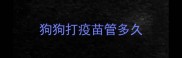 狗狗打疫苗管多久