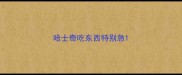 哈士奇吃东西特别急