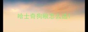 哈士奇狗粮怎么选