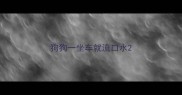 狗狗一坐车就流口水