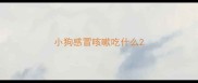 小狗感冒咳嗽吃什么