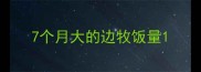 7个月大的边牧饭量