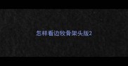 怎样看边牧骨架头版