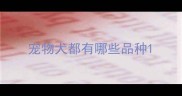 宠物犬都有哪些品种
