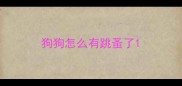 狗狗怎么有跳蚤了