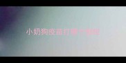 小奶狗疫苗打哪个部位