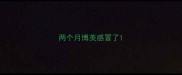 两个月博美感冒了