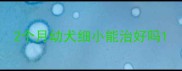 2个月幼犬细小能治好吗