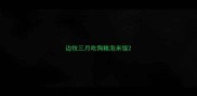 边牧三月吃狗粮泡米饭