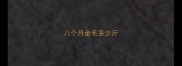 八个月金毛多少斤