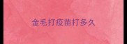 金毛打疫苗打多久