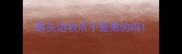 黑头边牧爪子是黑的吗
