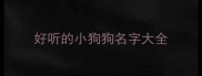 好听的小狗狗名字大全