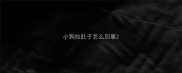 小狗拉肚子怎么回事