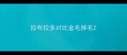 拉布拉多对比金毛掉毛