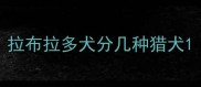 拉布拉多犬分几种猎犬